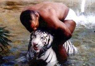 王老虎被爆料了吗视频,揭秘背后真相  第2张